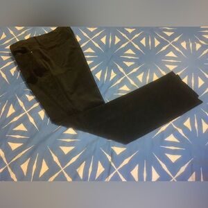 Ann Taylor Velour Jeans